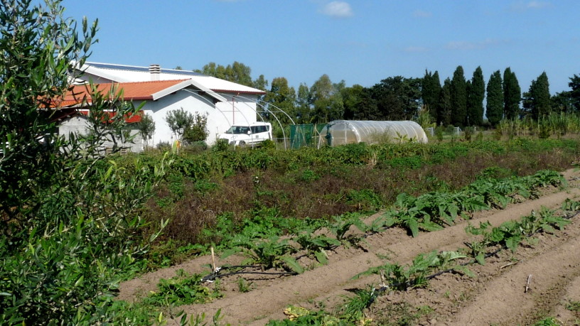 vista1